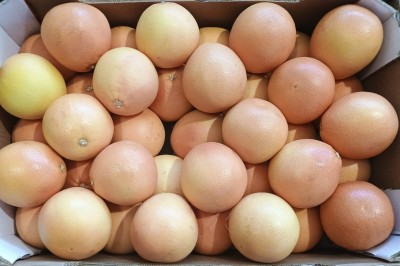 Foto Pompelmi Varietà Star Ruby Calibro 3 Origine Sud Africa Marchio Alliance  2