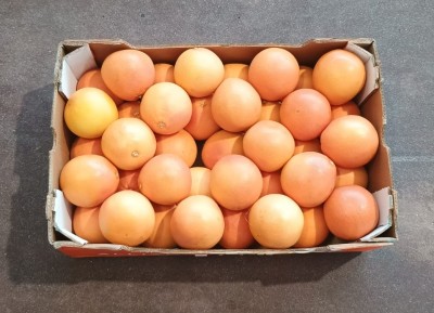 Foto Pompelmi Varietà Star Ruby Calibro 3 Origine Sud Africa Marchio Alliance  3