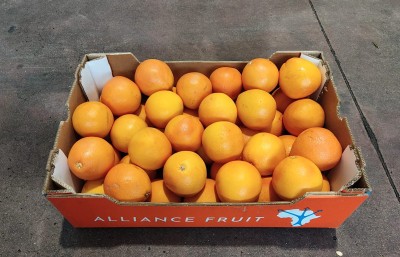 Foto Pompelmi Varietà Star Ruby Calibro 4 Origine Sud Africa Marchio Alliance  1