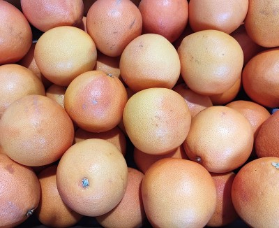 Foto Pompelmi Varietà Star Ruby Calibro 4 Origine Sud Africa Marchio Alliance  2