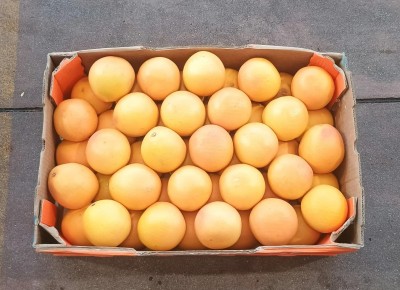 Foto Pompelmi Varietà Star Ruby Calibro 50 Origine Sud Africa Marchio Alliance  3