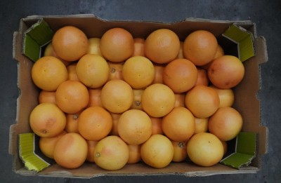 Foto Pompelmi Varietà Star Ruby Origine Sud Africa Calibro 45 Marchio Zest Fruits 3