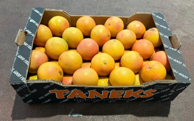 Foto Pompelmi Varietà StarRuby Calibro 45 Origine Turchia Marchio Taneks       1