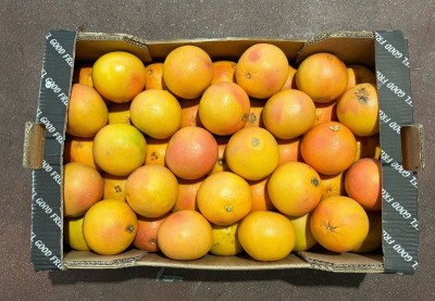 Foto Pompelmi Varietà Star Ruby Calibro 45 Origine Turchia Marchio Taneks 3