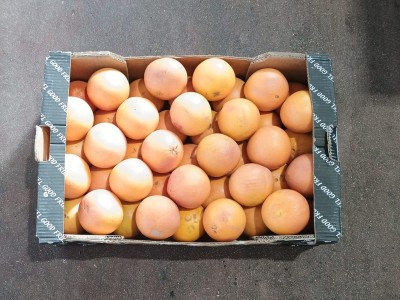 Foto Pompelmi Varietà Star Ruby Calibro 50 Origine Turchia Marchio Taneks  3