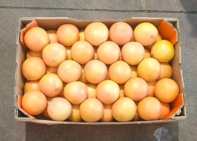 Foto Pompelmi Calibro 50 Origine Sud Africa Marchio Taneks 3