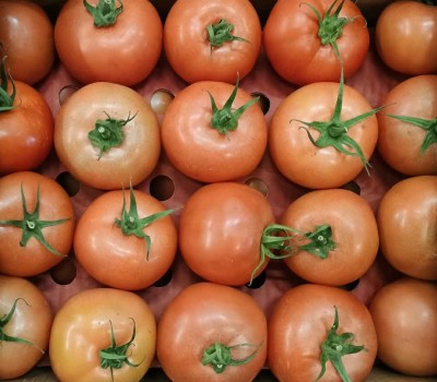 Foto Pomodoro Da Riso Origine Turchia Marchio Vizyon Fruit  2