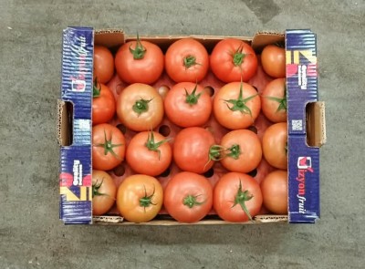 Foto Pomodoro Da Riso Origine Turchia Marchio Vizyon Fruit  3