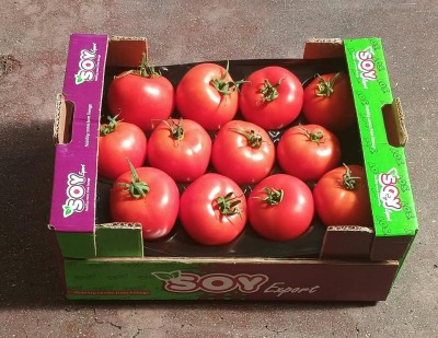 Foto Pomodoro Da Riso Origine Turchia Marchio Soy Export 1