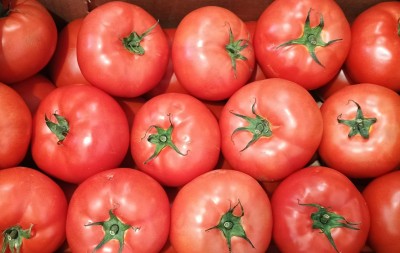 Foto POMODORO DA RISO      2