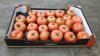 Foto Pomodoro Da Riso Origine Olanda Marchio Nero  1