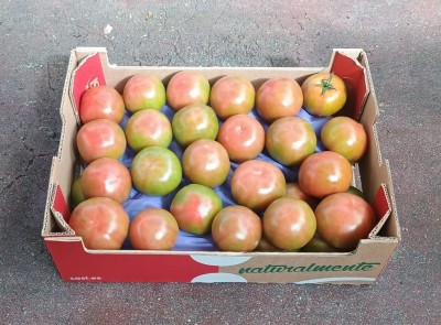 Foto Pomodori Verdi Varietà Caramba Origine Spagna Marchio Casi      1