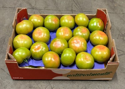 Foto Pomodori Verdi Varietà Caramba Origine Spagna Marchio Casi       1