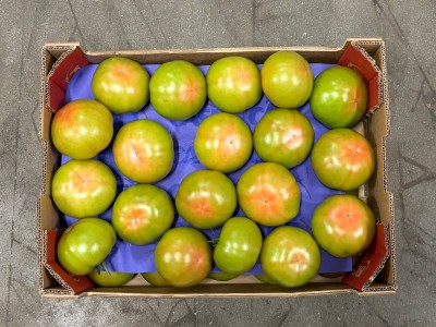 Foto Pomodori Verdi Varietà Caramba Origine Spagna Marchio Casi       3