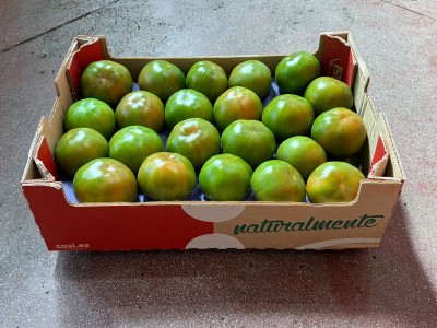 Foto Pomodori Verdi Varietà Caramba Origine Spagna Marchio Casi 1