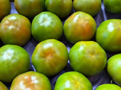 Foto Pomodori Verdi Varietà Caramba Origine Spagna Marchio Casi 2