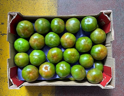 Foto Pomodori Verdi Varietà Caramba Origine Spagna Marchio Casi 3