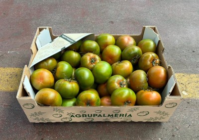 Foto Pomodori Verdi Varietà Caramba Calibro GG Origine Spagna Marchio Agrupalmeria 1