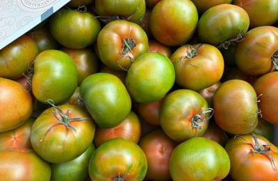 Foto Pomodori Verdi Varietà Caramba Calibro GG Origine Spagna Marchio Agrupalmeria 2