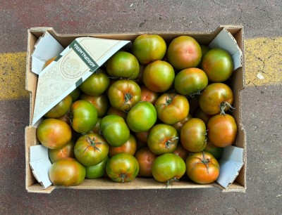 Foto Pomodori Verdi Varietà Caramba Calibro GG Origine Spagna Marchio Agrupalmeria 3