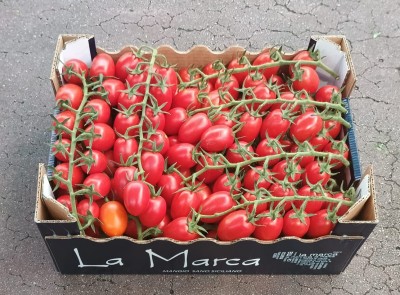 Foto Pomodoro Pixel Origine Italia Marchio La Marca  1