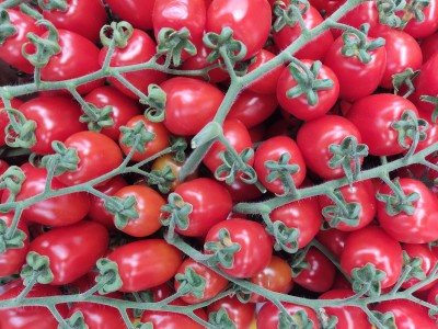 Foto Pomodoro Pixel Origine Italia Marchio Trentuno 2