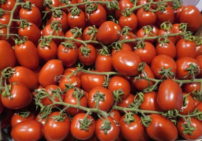 Foto Pomodoro Pixel Origine Italia Marchio Bonta' Di Sicilia  2