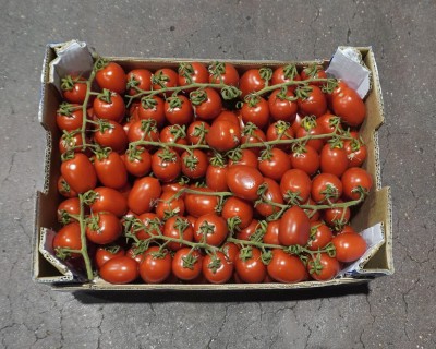 Foto Pomodoro Pixel Origine Italia Marchio Bonta' Di Sicilia  3