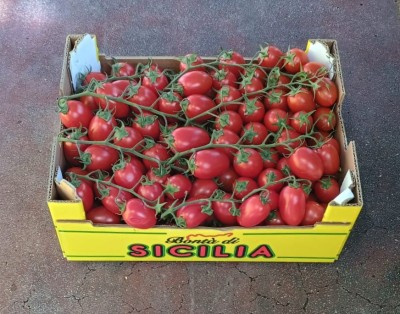 Foto Pomodoro Pixel Origine Italia Marchio Bontà Di Sicilia  1