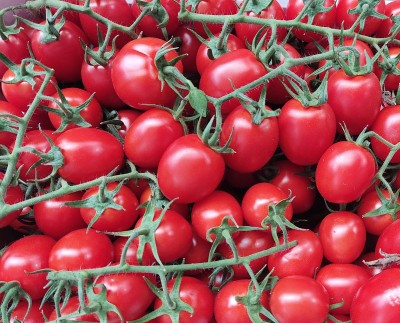 Foto Pomodoro Pixel Origine Italia Marchio Di Giacomo 2