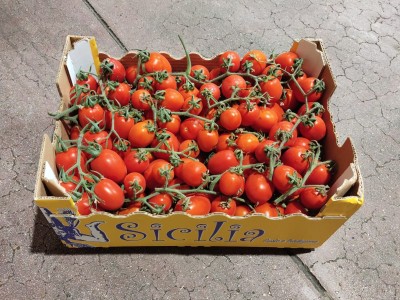 Foto Pomodoro Pixel Origine Italia Marchio Sicilia 1