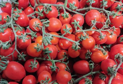 Foto Pomodoro Pixel Origine Italia Marchio Sicilia 2