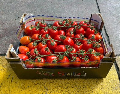 Foto Pomodoro Pixel Origine Italia Marchio Sicilia 1