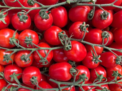 Foto Pomodoro Pixel Origine Italia Marchio Sicilia 2