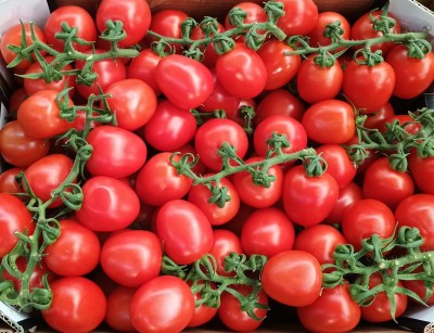 Foto Pomodoro Pixel Marchio Doppio Gusto Origine Italia 2