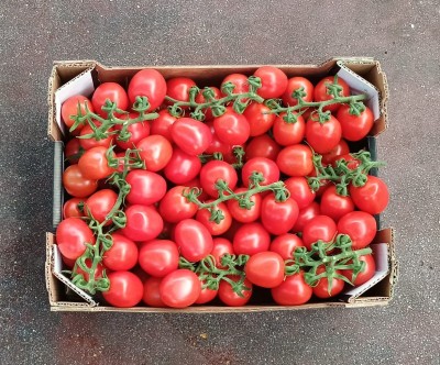 Foto Pomodoro Pixel Marchio Doppio Gusto Origine Italia 3