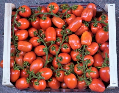 Foto Pomodori Pixel Origine Italia/Sicilia Marchio Doppio Gusto  2