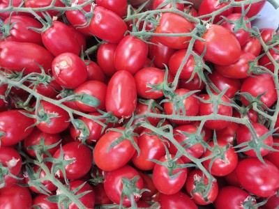 Foto Pomodoro Pixel Origine Italia Marchio Agroverde  2