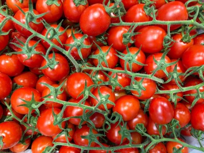 Foto Pomodoro Pixel Origine Italia Marchio Benedetto 2