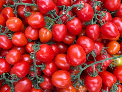 Foto Pomodoro Pixel Lavorazione in Plastica Origine Italia Marchio Flli Gulino  2