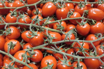 Foto Pomodoro Varietà Pixel Origine Italia Marchio Aurnia 2