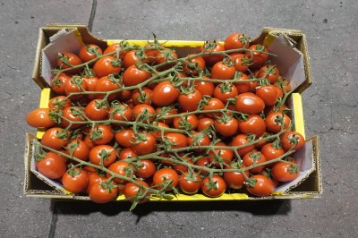 Foto Pomodoro Varietà Pixel Origine Italia Marchio Aurnia 3