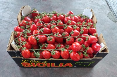Foto Pomodoro Pixel Origine Italia Marchio L'Orto di Sicilia       1