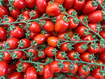 Foto Pomodoro Pixel Origine Italia Marchio Albani 2