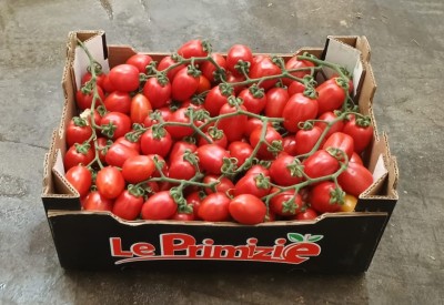 Foto Pomodoro Pixel Origine Italia Marchio ''Le Primizie''  1