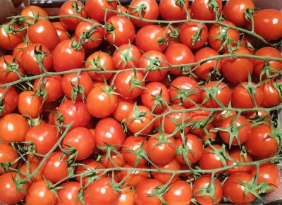 Foto Pomodoro Pixel Origine Italia Marchio Vittoria Verde 2