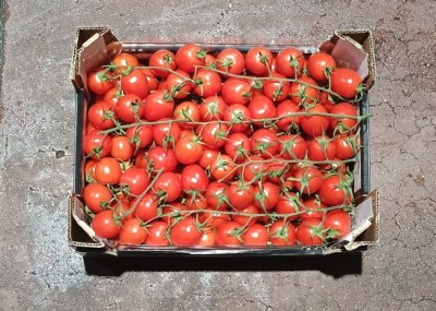 Foto Pomodoro Pixel Origine Italia Marchio Vittoria Verde 3