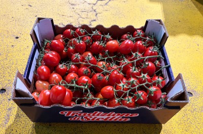 Foto Pomodoro Pixel Origine Italia Marchio Tradizione di Sicilia 1