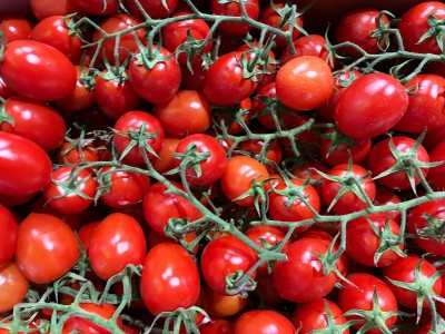 Foto Pomodoro Pixel Origine Italia Marchio Tradizione di Sicilia 2