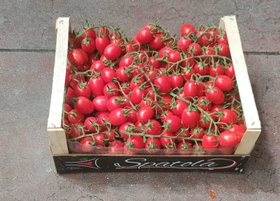 Foto Pomodoro Pixel Origine Italia Confezione in Legno Marchio ''Spatola'' 1